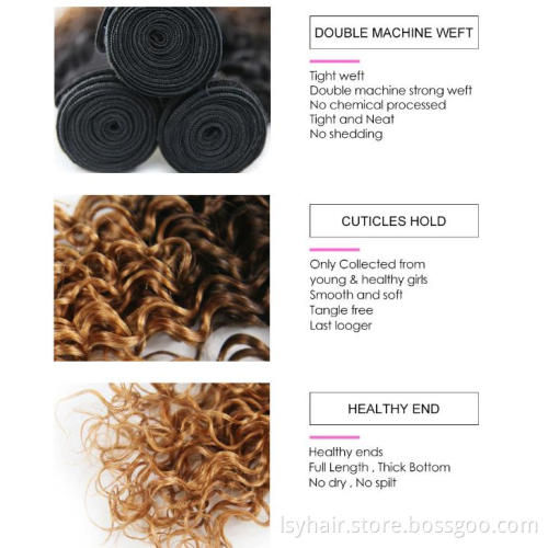 Ombre Brazilian Hair Bundles Deep Wave With Closure, Sew In Human Hair Weave Ombre Hair Weaves Curly